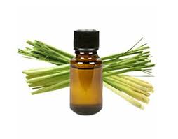 Lemongrass Oils Manufacturer Supplier Wholesale Exporter Importer Buyer Trader Retailer in Uttam Nagar Delhi India